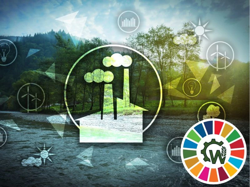 Die SDGs als Kompass für Unternehmensstrategie